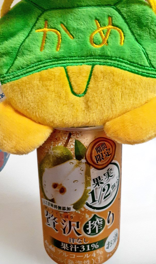 miyabix128's tweet image. 今夜飲む前の儀式🐢🍐
亀の主張大きめ🐢
#FNS歌謡祭 
#FNS楽しみな人RT 
#FNS亀梨和也