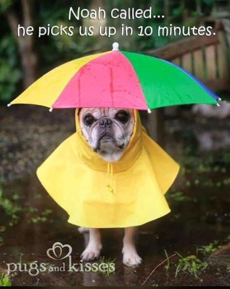 Toni Teejay Joharie tweet media