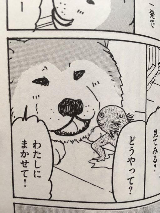実は よしふみとからあげ に出てきた秋田犬 ナツは実在の子で本名を甘夏ちゃんと言 関口かんこの漫画
