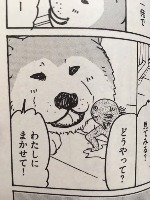 実は『よしふみとからあげ』に出てきた秋田犬・ナツは実在の子で本名を甘夏ちゃんと言ってこのリンゴ園のわんちゃんなのです。
@amanatsu_carinさんのアカウントで実物の甘夏ちゃんと妹分の柴犬(かな?)のカリンちゃんの写真が見れますよ〜。 