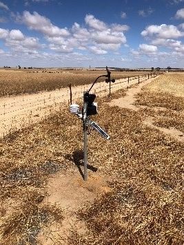 DPIRDbroadacre's tweet photo. IoT technologies are being trialled by @MADFIG14, after installing a catchment wide digital rain gauge network at 21 sites! Some local farmers are also trialling frost sensors, weather stations& fuel tank monitoring using 3G/4G mobile connectivity. Funding via #eConnectedWA https://t.co/IEvvgS0Df5