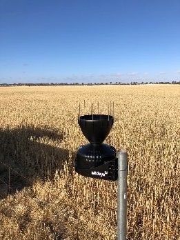 DPIRDbroadacre's tweet photo. IoT technologies are being trialled by @MADFIG14, after installing a catchment wide digital rain gauge network at 21 sites! Some local farmers are also trialling frost sensors, weather stations& fuel tank monitoring using 3G/4G mobile connectivity. Funding via #eConnectedWA https://t.co/IEvvgS0Df5