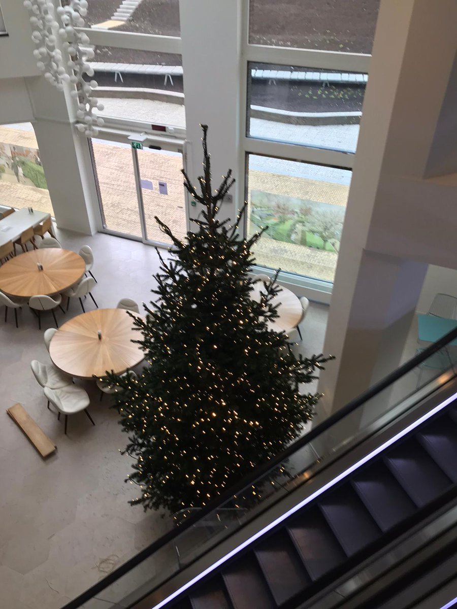 GROEN-Direkt tweet media