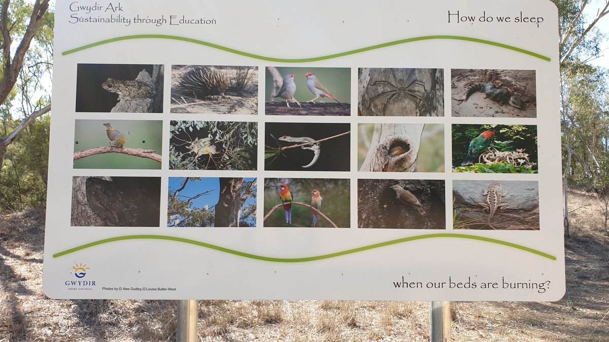 🌻💧⏳🎗Richard Gibson😷5x💉 tweet media