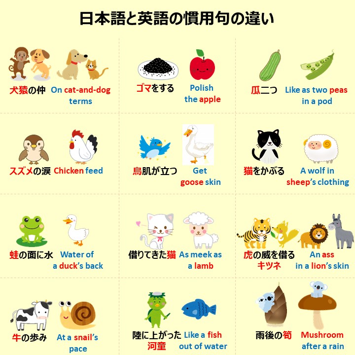 こあたん こあらの学校 日本語と英語の慣用句の違い T Co Rduics5mqm Twitter こあたん こあらの学校 日本語と英語の慣用句の違い T Co Rduics5mqm Twitter