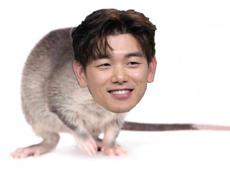  @ericnamofficial as rats: a thread