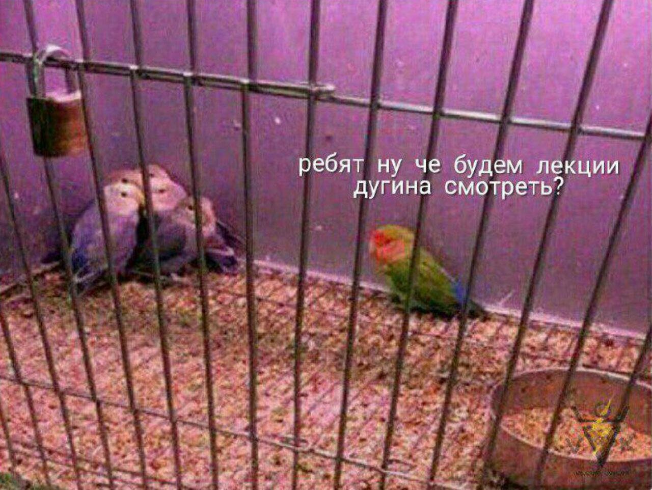 ELfe5CGXsAAHD6S?format=jpg&name=large