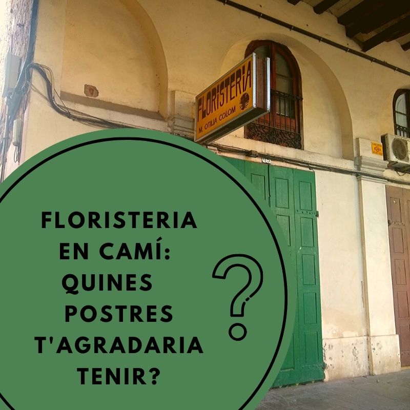 coop_calarosa's tweet photo. La floristeria segueix la seva línia de preguntes.
Quines postres t'agradaria tenir?
#Consultapopular
#projectesmacos #projectes #LaSagrera #PlaçaMasadas https://t.co/M5nBIJ2grv