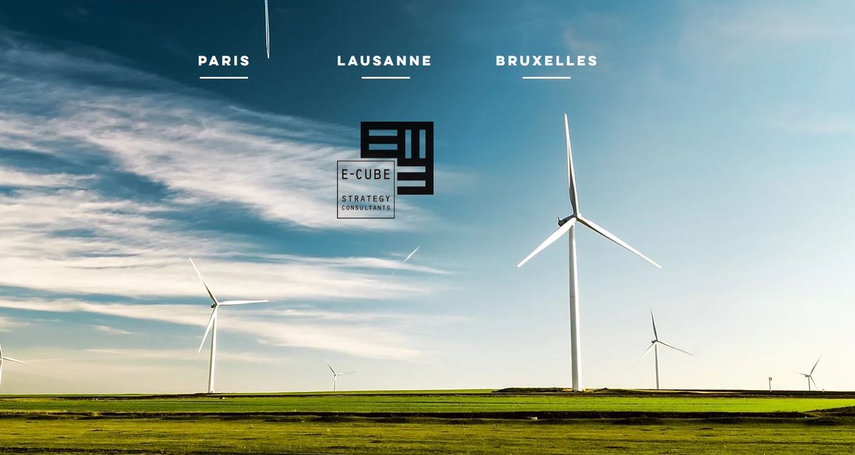 E-CUBE Strategy consultant est heureux de vous annoncer le lancement de son nouveau site internet ! e-cube.com