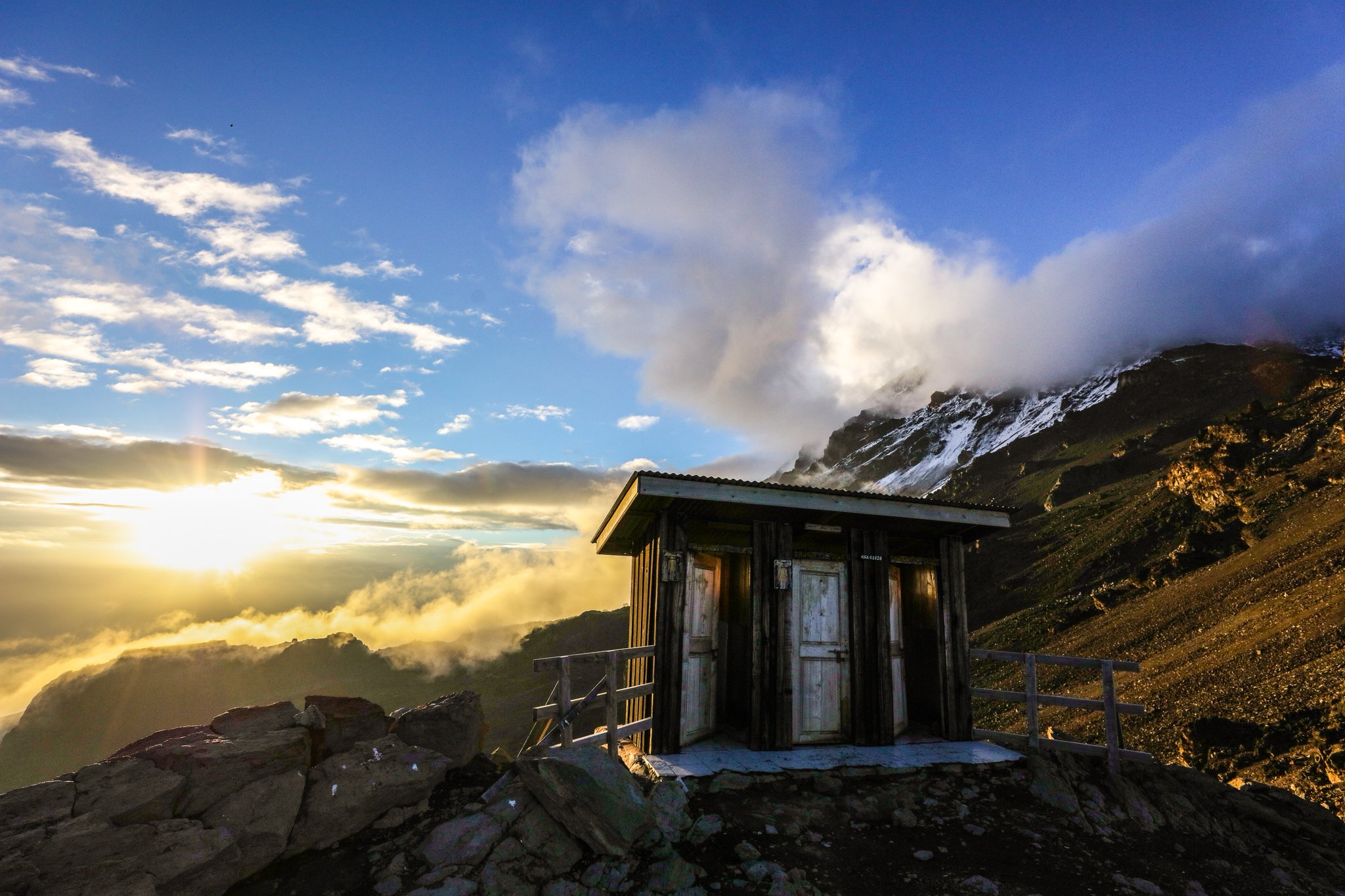 Bladder Bowel Uk Bbuk On Twitter As Some Of You May Know We Always Feature A Loo Of The Month In Bbuk S Professional Newsletter Today We Thought We D Share With You