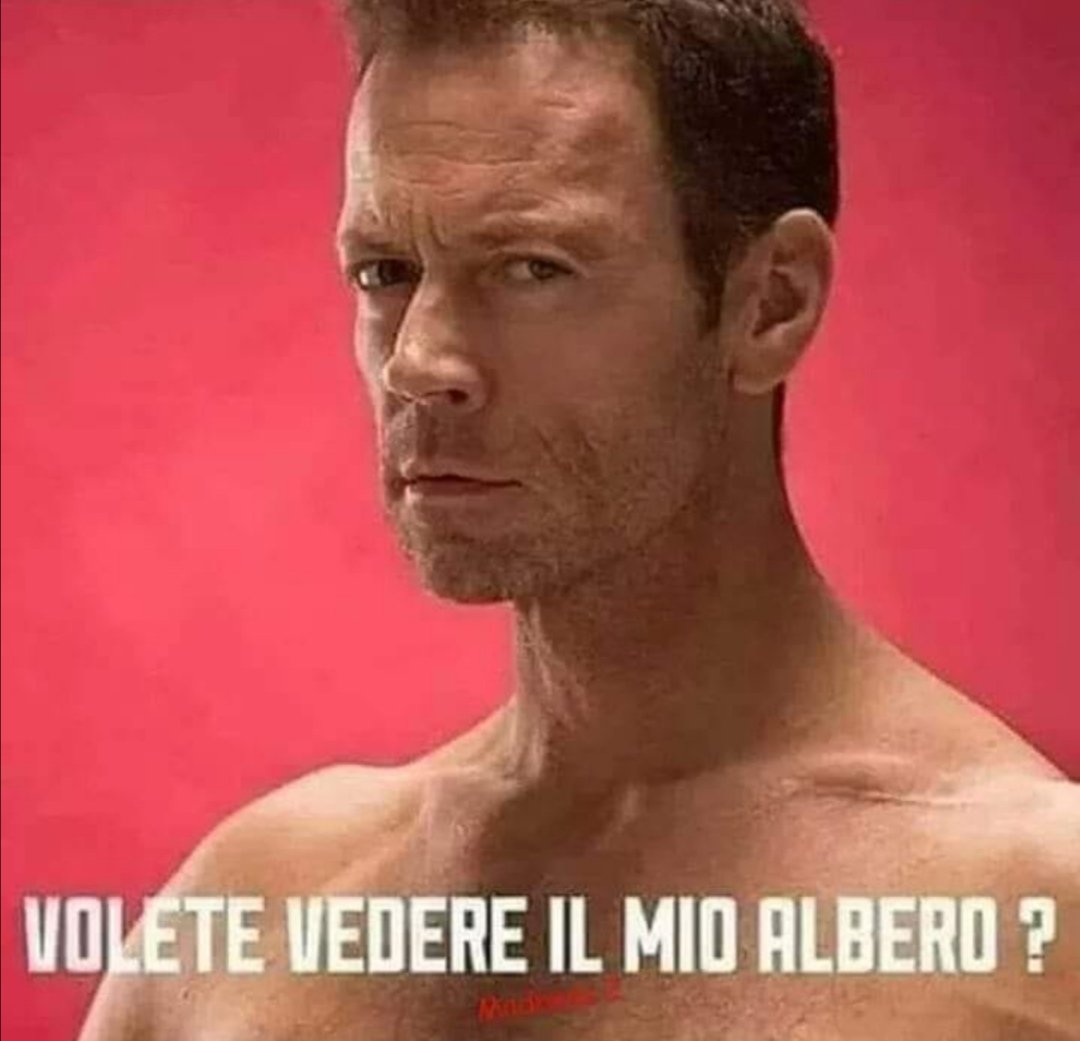 Chi non l'ha visto.... 😏
#alberidinatale