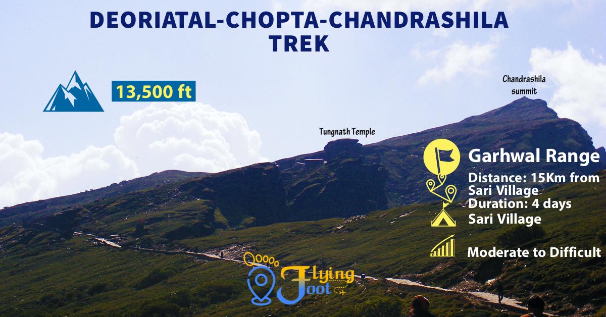 flying_foot's tweet photo. Revel in regal heavenly ethereal of Deoriatal-Chopta- Chandrashila Trek. #IndiaSupportsCAB #CitizenshipAmmendmentBill2019 #travel #love #Beautiful #cute #WednesdayWisdom #WednesdayMotivation #WednesdayThoughts https://t.co/PBDqDkfT0d
