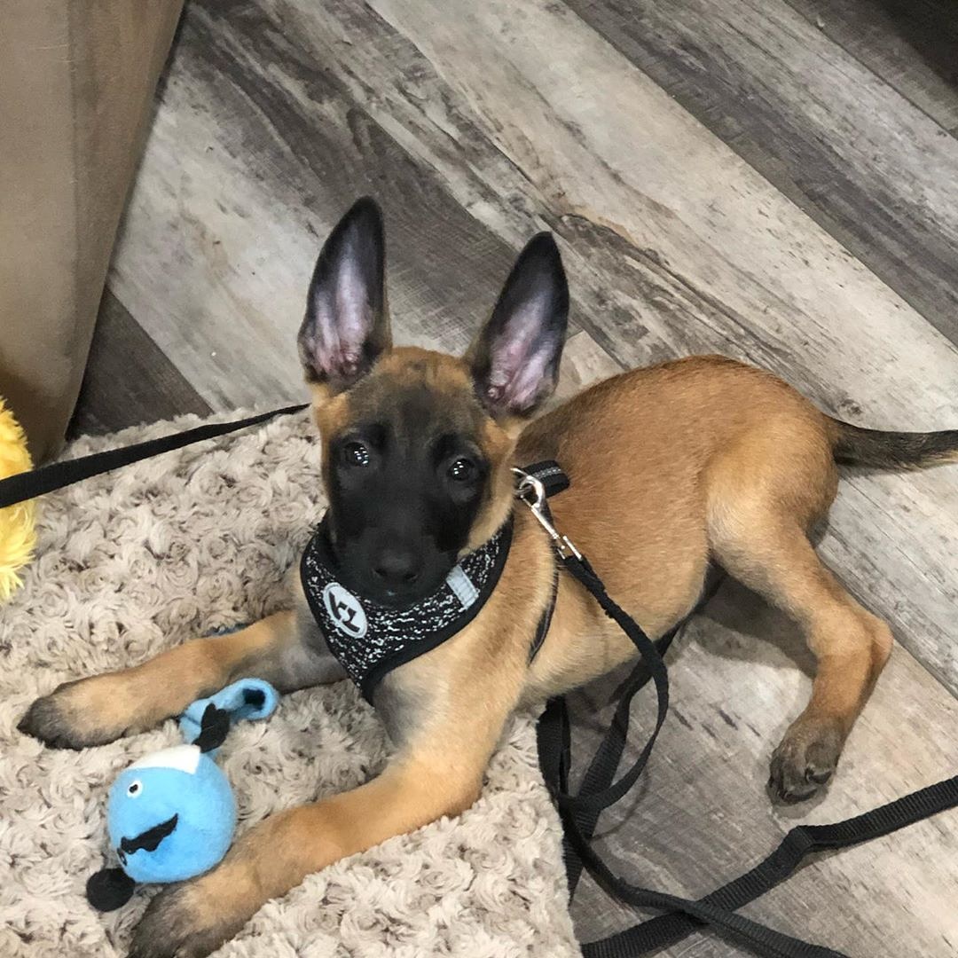 AndyCandon's tweet image. Much love