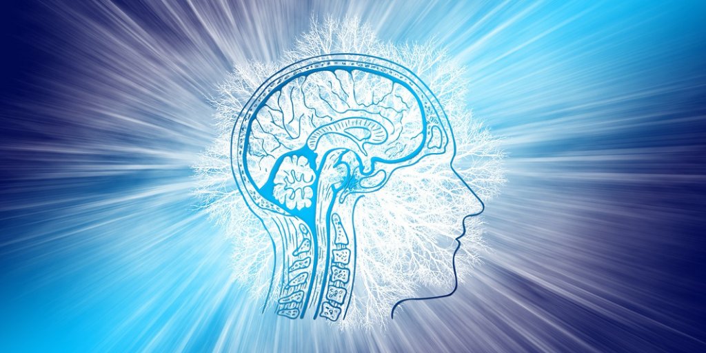 SustainHistory's tweet photo. For #brainprint technology, setting the #password implies looking at an image while connected to an electroencephalograph, which records the #brain activity in response to that stimulus. https://t.co/Ovm6Vr85be https://t.co/lZV5w8Cdsm