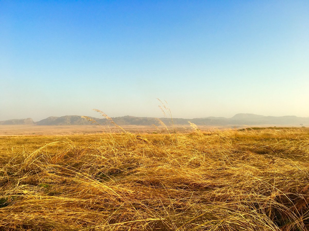 EditiEffiong's tweet image. I take photos almost everyday. If I go through my photo album, I can tell everything that happened in a year.

On December 10, 2015, I took this photo. I was rushing home to a sick child. I didn’t take any photos for days after that.

Our son died early the next morning.