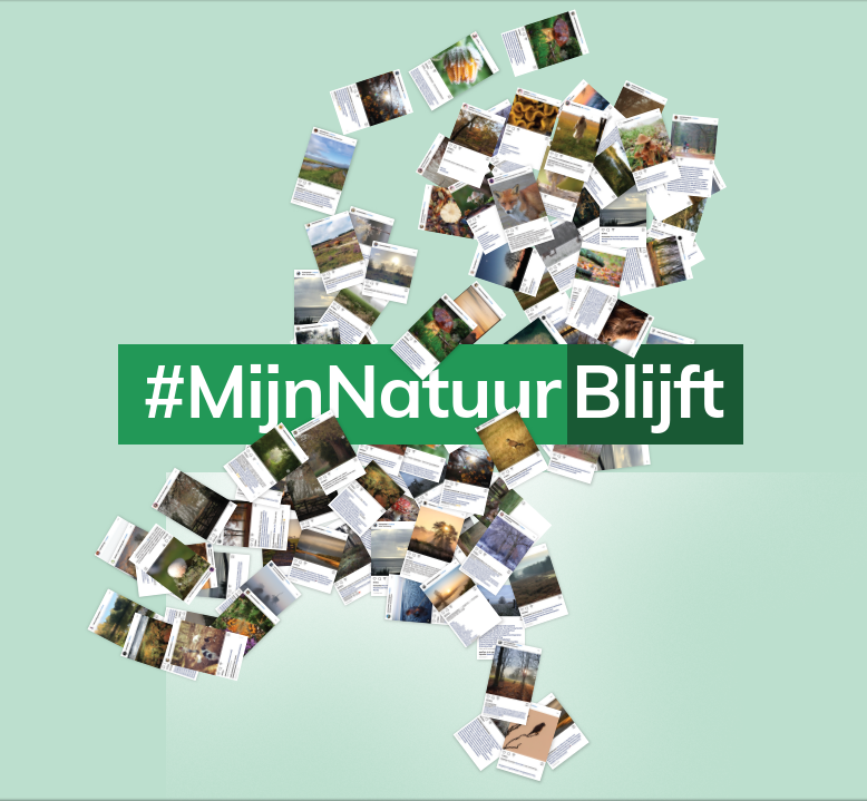 Onze natuur is van levensbelang voor dieren, planten, ons klimaat en voor onszelf. Het kabinet overweegt nu echter om beschermde natuurgebieden op te geven. Dat is absoluut geen optie! Kom in actie en deel een foto van jouw favoriete stukje natuur met #MijnNatuurBlijft