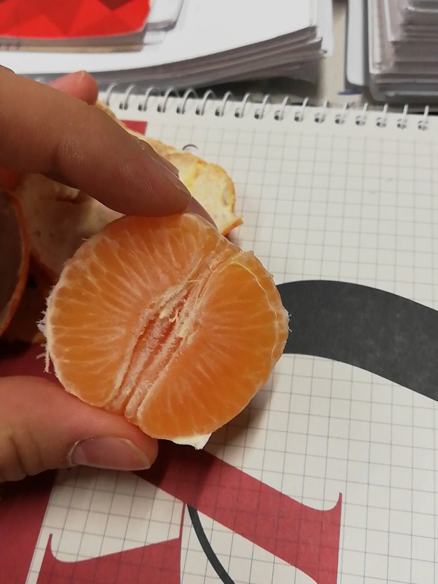 FabianDehmer's tweet image. Vitamine sind wichtig, stimmts? @timbold69 @Timwild02 @KleinkopfTobias