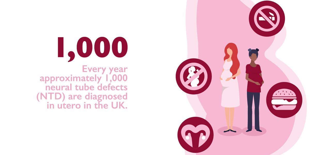Every year 1,000 neural tube defects are diagnosed in utero in the UK. Sufficient amounts of folic acid are shown to mitigate this risk and fortification of flour is an intervention the RCOG is calling for to achieve this. Learn more: fal.cn/35xxD #BetterForWomen