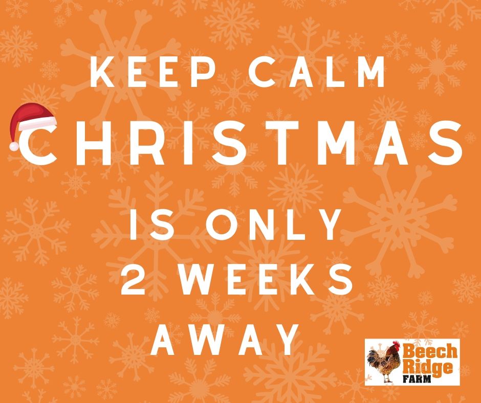 Hands up... who's ready?? 🙋🏼‍♀️🎅🏼