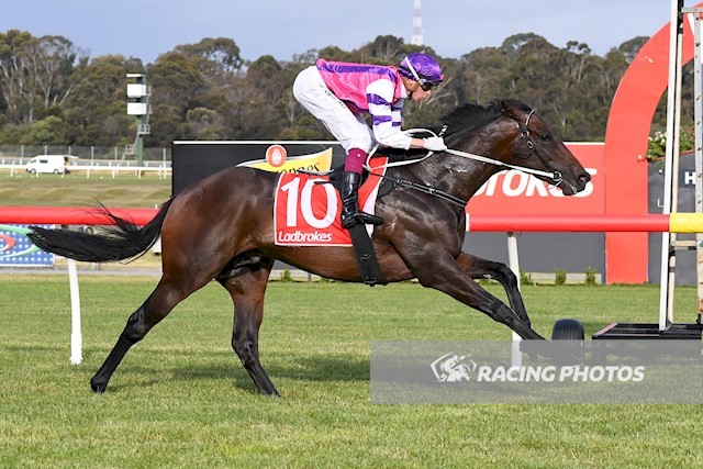 UnitedSynd's tweet photo. Great to score a Metropolitan Winning double today at Sandown for @MickPriceRacing @MichaelRhysKent and just a wonderful group of dedicated loyal owners with BELLA AMORE and SCORPIUS who both have great futures ahead! Well done to all and to Mick and Michaels terrific staff! https://t.co/zvDSlCxshG