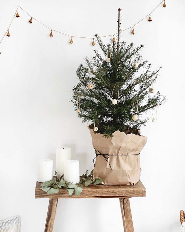 Ecosapin's tweet photo. Astuce numéro 1: vous avez commandé un Little Ecosapin? Hop on le surélève pour une déco au top! (Également utile contre les chats, chiens, le chauffage au sol... 🙈).
Astuce numéro 2: pas de panier sous la main pour styler le pot? Attrapez un bout de papier cartonné ! (Le pa… https://t.co/n7oazq3glB