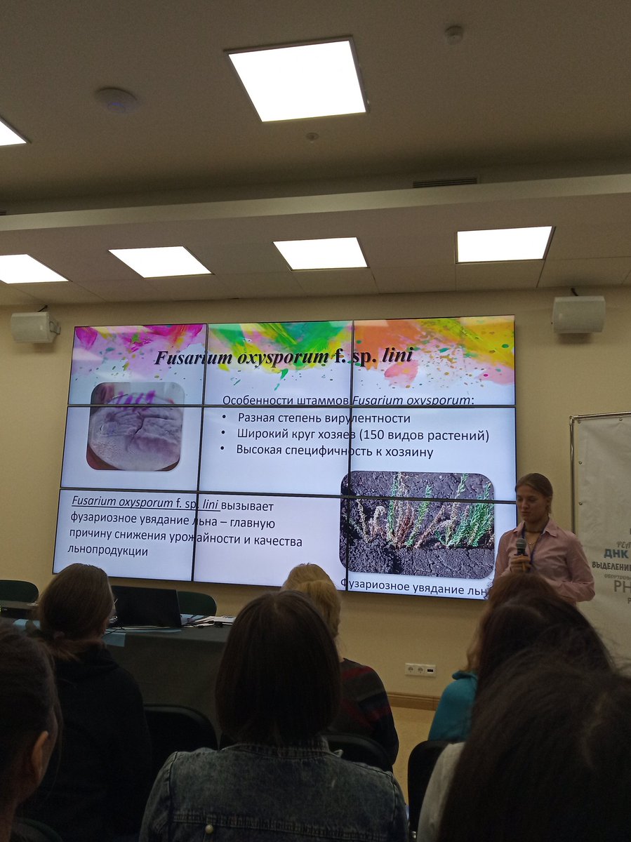 andrei_kniazev's tweet photo. First nanopore DNA seq Fusarium in Russia @elena_pushkova https://t.co/t7qBFdwr9c