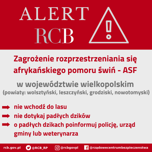 Uwaga❗️ Alert RCB❗️
Zagrożenie rozprzestrzeniania się afrykańskiego pomoru świń (ASF) w województwie wielkopolskim. Pamiętajcie o zasadach bezpieczeństwa. 👇