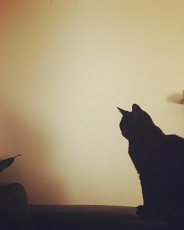 Beautiful Merckx ift.tt/2PwX0uV