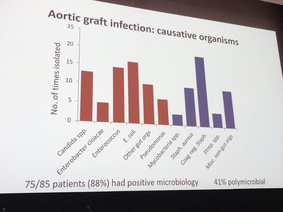 Mark Gilchrist tweet media