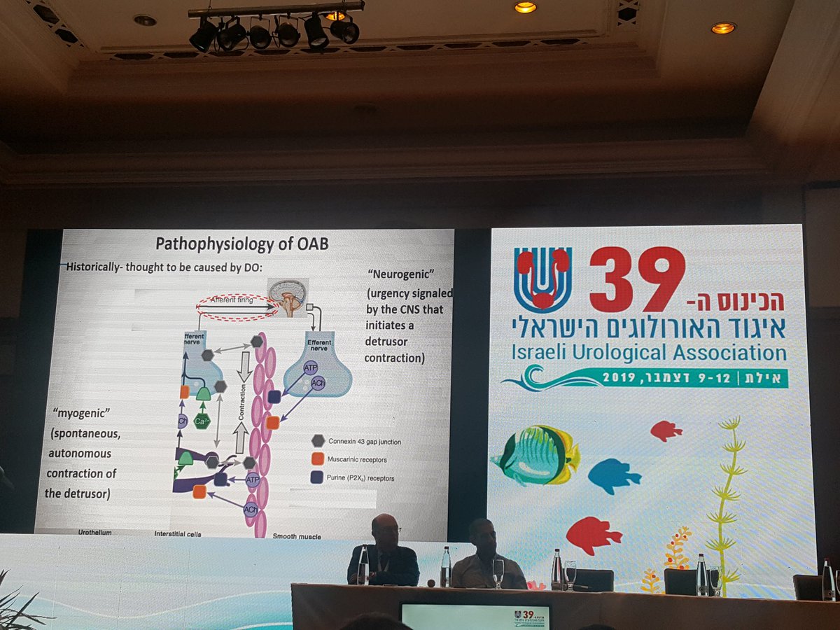 IUA - Israel Urology Association (@iuaisrael) on Twitter photo IAU CONGRESS EILAT, ISRAEL
OAB 11.12.2019 IAU CONGRESS EILAT, ISRAEL
OAB 11.12.2019