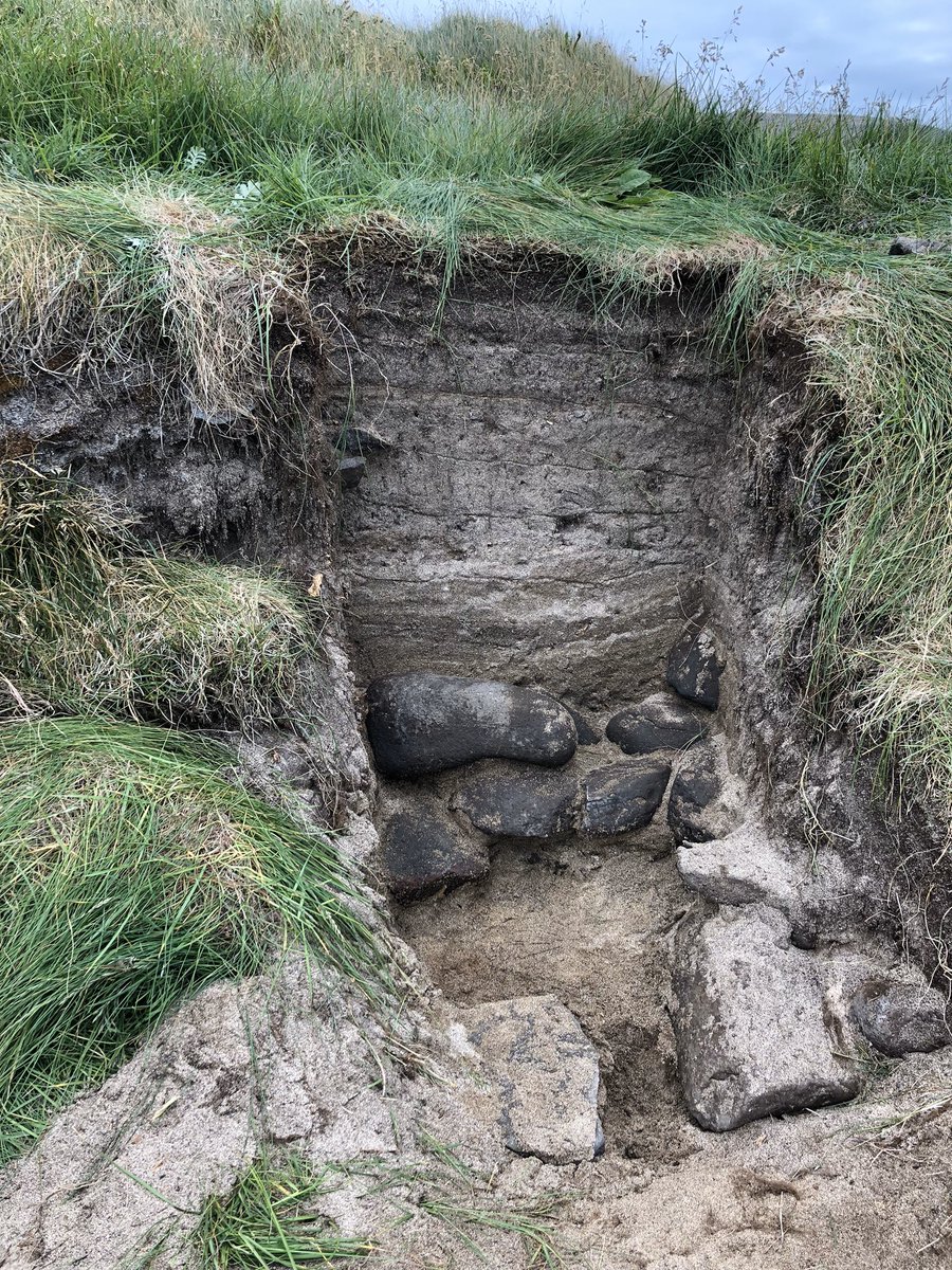 SaraMSchaal's tweet photo. My @LeifurEiriksson fellowship allowed me to foster another Icelandic collaboration where we are using otolith microchemistry on archeological samples from coastal middens to assess historic trophic and temperature conditions of #IcelandicCod ecotypes through the last 1000 years! https://t.co/VCl0FN0ru5