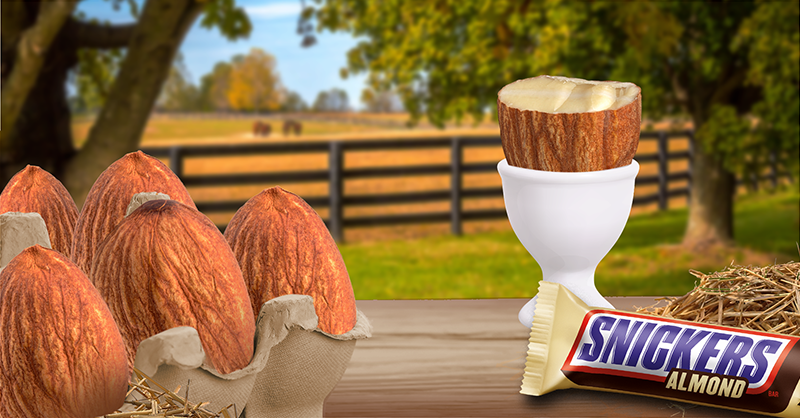 SNICKERS's tweet photo. What came first? The SNICKERS or the almond? https://t.co/wLmnpmhtc1