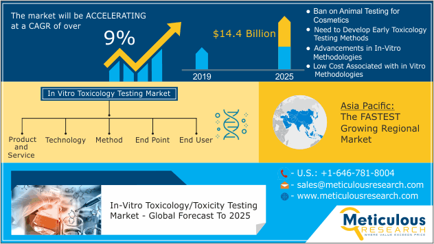 Katherine_marcs's tweet photo. According to latest publication from @MeticulousR123 , the global in-vitro #toxicology testing market is expected to grow at a CAGR of 9% from 2019 to reach $14.4 billion by 2025
👉https://t.co/oyM1CRFj0X

@cellcultureclub @CellCultureConf @CellCultureCo @Cellculture3 @StemCells https://t.co/KQumNaynSp