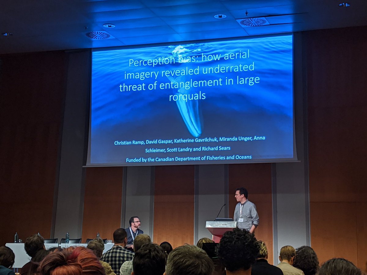 Hard to tell entanglement rates if we can't see. Drones are giving us a new view of fin and blue whales. Turns out they get entangled a lot. <a href="/RampChristian/">Christian Ramp</a> at #WMMC19 <a href="/MICScanada/">MICScanada</a>