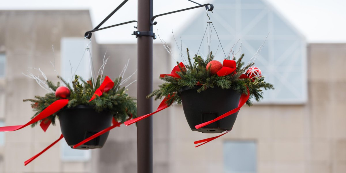 IUIndianapolis's tweet photo. It's the most wonderful time of the year. ✨ https://t.co/wvvGSkN3E1