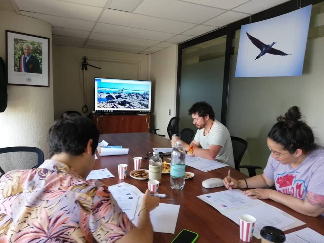 gaviochico's tweet photo. 🔲🔜 Equipo de profesionales de Servicio Agrícola Ganadero, Seremi de Medio Ambiente y Estudio Creativo Ráyala, evalúan y dirimen entre los trabajos enviados de las distintas categorías de nuestro concurso para la puesta en valor de  #GaviotínChicoTarapacá. #Iquique #Tarapacá https://t.co/TRtmxHCLfY