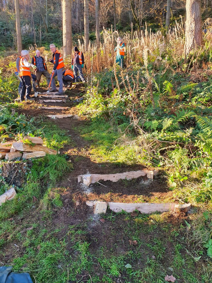 Working with volunteers &amp; @CoedCadw putting in plenty of new oak steps at the tremendous Parc Mawr near Conwy. #woodland #wales #nature