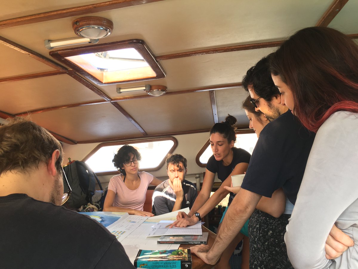 cienciacanaria's tweet photo. El proyecto #FarFalle participó en #SCIC19 en su labor de transmitir la importancia del estudio, la conservación y la divulgación del medio marino haciendo partícipe a la sociedad
Más fotos en MULTIMEDIA
https://t.co/kQIFAzMbp5 #esCIENCIAnomagia #somosciencia @FarFalleProject https://t.co/N8dvlSfcxQ