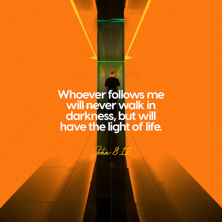 When Jesus spoke again to the people, he said, “I am the light of the world. Whoever… bible.com/111/JHN.8.12