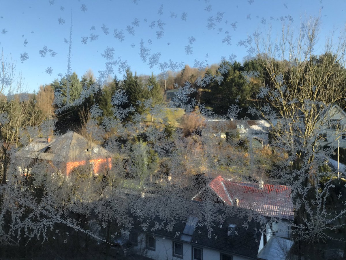 SteTavano's tweet photo. It feels a bit cold today, don’t you think? 🥶 @ISTAustria #ISTlife #lablife https://t.co/MHNaSX26jV