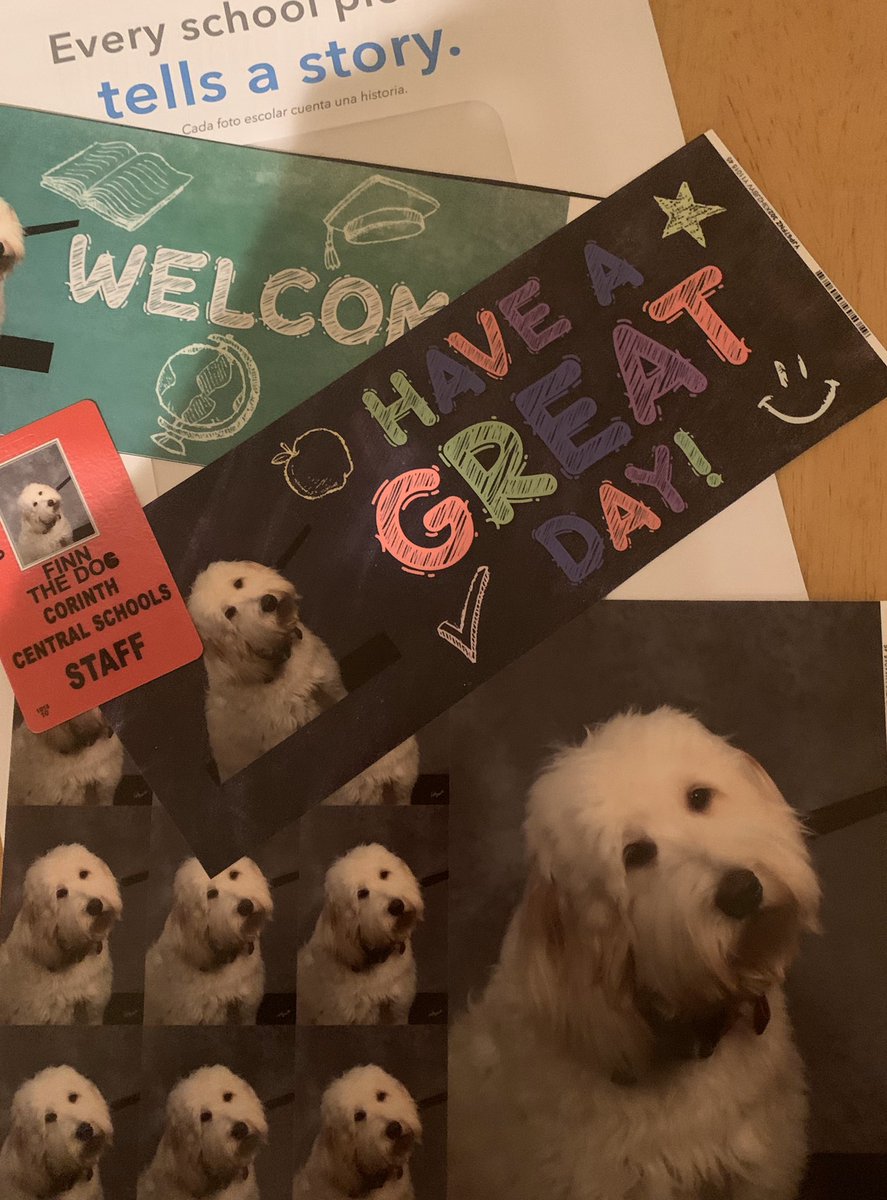 RagmonNFTs's tweet photo. Finn’s first school pictures are in! @GFSuper @CorinthSuper @cheneybovee https://t.co/2YK97cMgWA