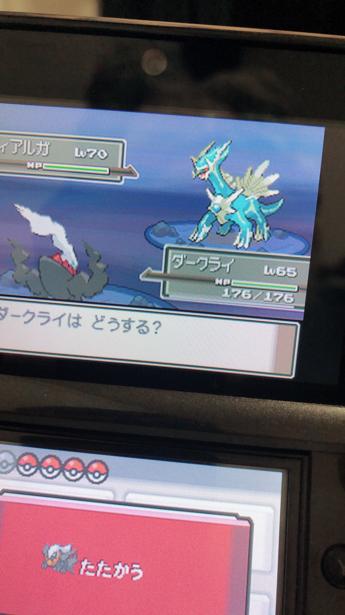 失踪者a プラチナ ディアルガ 2575回 プラチナ 色違い T Co Icloheunxz Twitter
