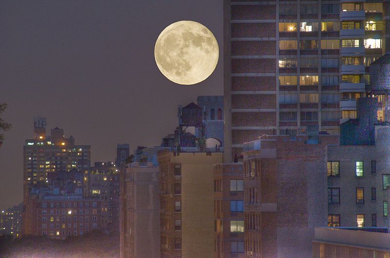 sweetstickyrain's tweet photo. Cold Moon (December)
https://t.co/wPgvCJvnXH
Night Moon,Twelfth Moon, Ashes Fire Moon,Long Night Moon,Popping Trees Moon,Running Wolves Moon,Frost Fish Moon, Finger Moon
Winter Solstice Moon.
#WinterMoon
#SolsticeMoon
#ColdMoon
#FullMoon
#DecemberMoon https://t.co/k6GqxBfTiS