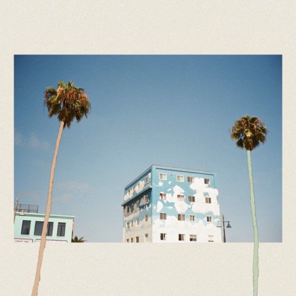 acid stag tweet media