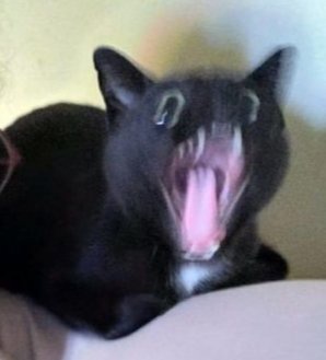 ESEVENTS tweet media