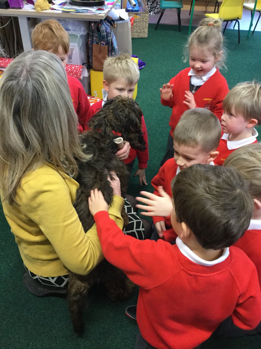 SimonstoneStP's tweet photo. Spirituality day: Class One meeting Larry the therapy dog ❤️ https://t.co/f9uuRWlrrn