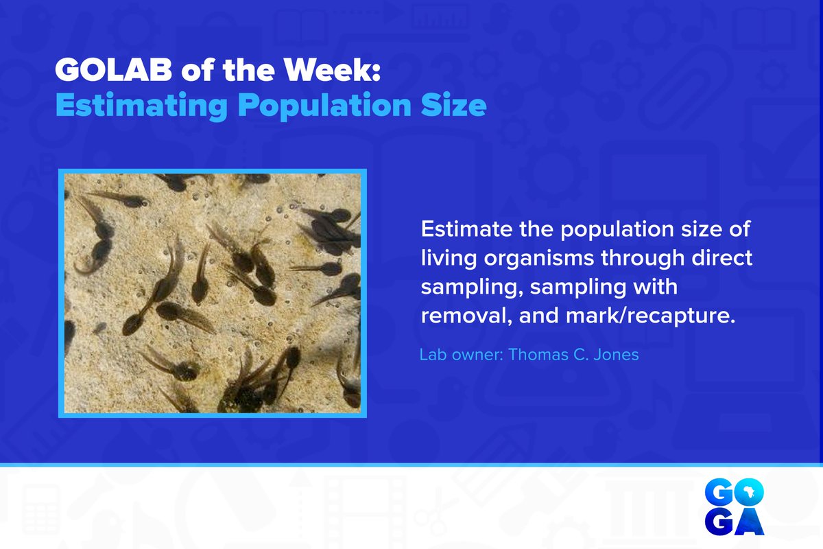 GOGAProject's tweet photo. #GOLABZ of the Week: Estimating Population Size

This #ILS helps you estimate the #population size of living organisms through direct sampling, sampling with removal, and mark/recapture.

Preview the Lab: https://t.co/EpCHtQzrJC. 

#GOGAProject https://t.co/s7gx3Uwend