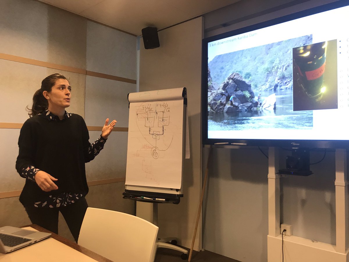 Mário J. Franca (@mario_j_franca) on Twitter photo <a href="/e_calamita/">Elisa Calamita</a> presenting great results of the Kariba Lake dynamics together with the outcomes of a water quality monitoring campaign across the Zambezi River Basin. <a href="/ihedelft/">IHE Delft 💧 Institute for Water Education</a> <a href="/EawagResearch/">Eawag</a> <a href="/ggettel/">Gretchen Gettel</a> <a href="/dValero_/">Daniel Valero</a> <a href="/e_calamita/">Elisa Calamita</a> presenting great results of the Kariba Lake dynamics together with the outcomes of a water quality monitoring campaign across the Zambezi River Basin. <a href="/ihedelft/">IHE Delft 💧 Institute for Water Education</a> <a href="/EawagResearch/">Eawag</a> <a href="/ggettel/">Gretchen Gettel</a> <a href="/dValero_/">Daniel Valero</a>