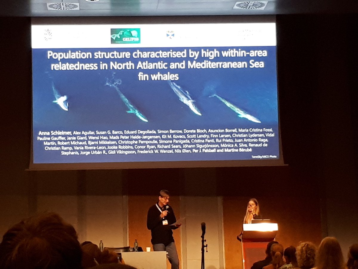 Great talk by @SchleimerAnna about genetic structure in fin whales in the North Atlantic <a href="/MICScanada/">MICScanada</a> <a href="/MarEvoCon/">Marine Evolution & Conservation Group</a>
