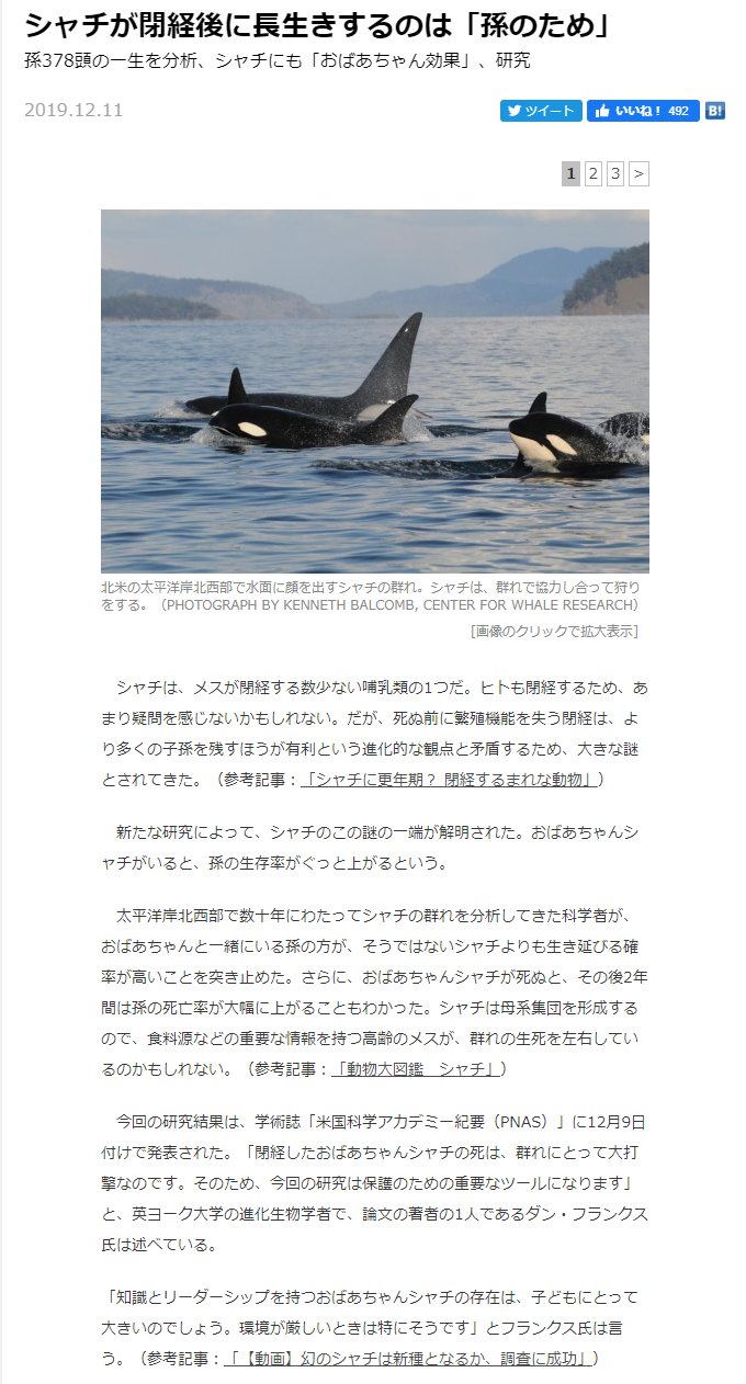 エレガントシャチ 寿命 最高の花の画像 エレガントシャチ 寿命 最高の花の画像